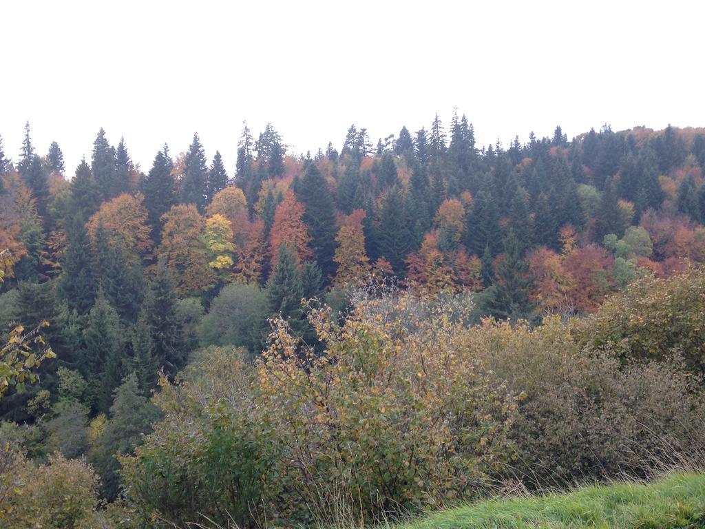 Apartamento La Vue Sur Le Paradis Chambon-sur-Lac